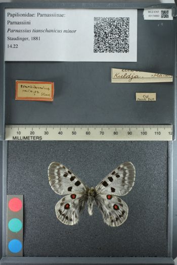 Media type: image;   Entomology 174860